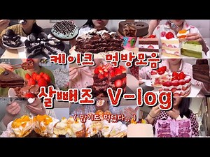 [먹방브이로그#89] 대충 1시간 동안 케이크만 먹는 영상😋🍰 케익 먹방 몰아보기💖