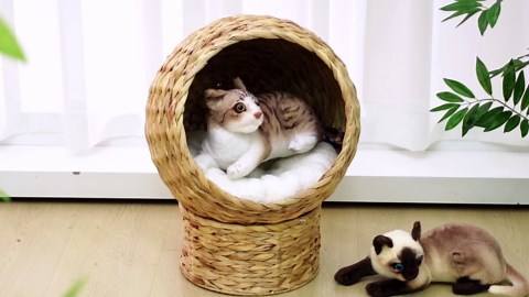 Vercraft Handwoven Elevated Cat Bed with 2 Pcs Soft Cushion Raised Wicker Cat Basket Bed Water Hyacinth Woven Cat Bed Boho Cat Egg Chair for Indoor Cats, 20" H, Brown
