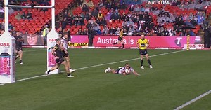 Roosters fighting back