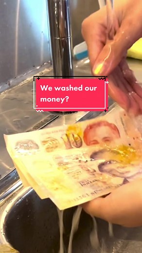 Singapore Polymer Banknotes: Durable Plastic Money Explained