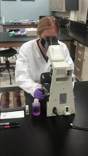 Top 3: Medical Lab Science degree