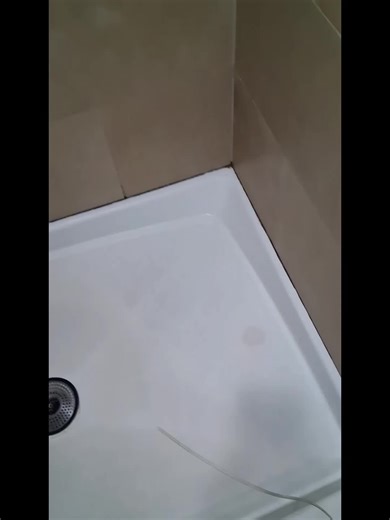 Spotless Home Cleaning Services for Walk-in Showers