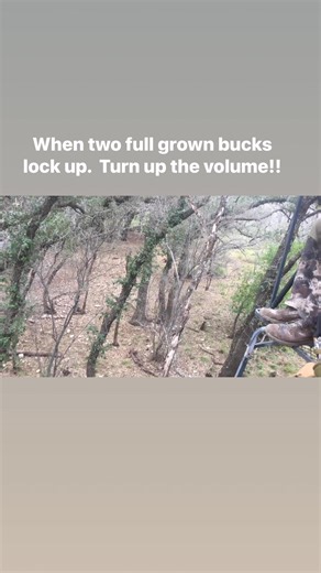 147K views · 2.2K reactions | The sounds and sights of two mature bucks fighting #deerhunting #fight | Whitetail Diaries | Facebook