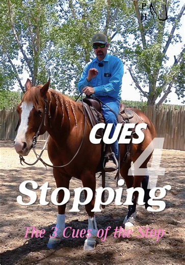 Teaching the Cues for Stopping a Horse - seat & feet - voice - hands Cues 4 Stopping The 3 Cues of the Stop #equestriantrend #horseback #cowboycountry #westernriding #horse