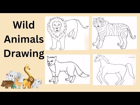 Wild Animals drawing || How to Draw Four different Animals Drawing || Easy Animals Drawing