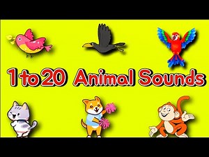 Counting Animal Sounds 1 to 20 | Fun Learning Numbers Song for Kids | Animal Sounds Rhyme