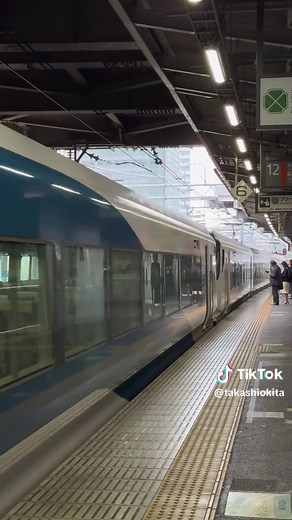 特急踊り子3号：伊豆急下田・修善寺行き