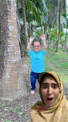 Touch the Tree 🌳 #shorts