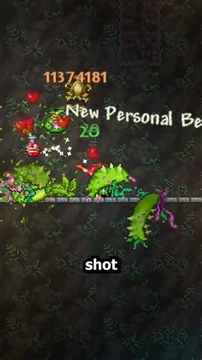 The CRAZIEST Damage You Can Deal in Terraria!