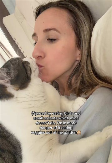 Managing Pregnancy with a Cat: Health Tips for Cat Moms