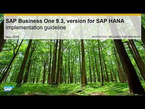 SAP Business One 9.3, version for SAP HANA Implementation Guideline