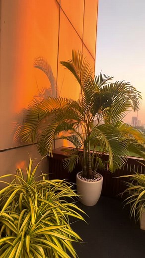 Le Cellier: Fine Dining Rooftop Experience in Yangon