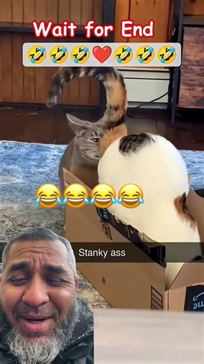 😂😂😂😂😂😂😂😂