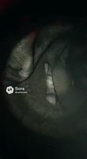 The Hunter's Game Promo Clip 2