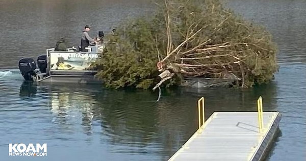 MDC enhances fish habitat at Stockton Lake