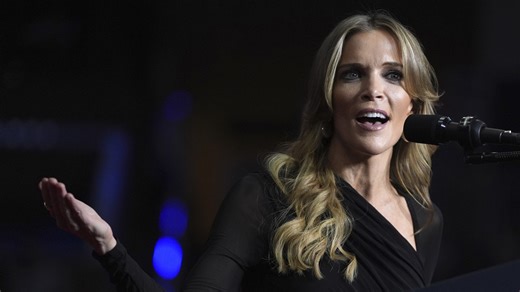 ‘Barely legal type’: Megyn Kelly faces backlash following Epstein comments