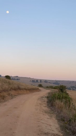 Our beautiful wildlife 🦒☺️ | Lake Eland Game Reserve