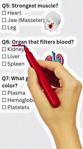 Anatomy Quiz || human body Mcqs || interactive anatomy quiz || human body parts quiz ||