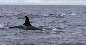 12K views · 15 reactions | 6 road trip options, one big country to explore. | Canada Keep Exploring | Facebook