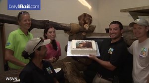 Zoo celebrates kangaroo's milestone birthday