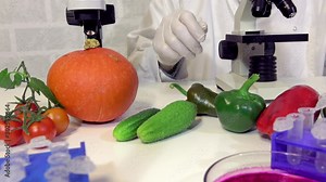 Laboratory Research . Chemical Laboratory of the Food supply . Food in laboratory, dna modify .GMO Genetically modified food in lab