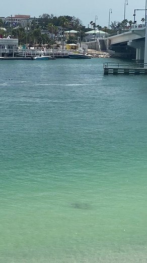 Princess Sarah (@princesssarah497)’s videos with original sound - Princess Sarah