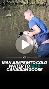 1.6M views · 46K reactions | He is so brave for jumping into the cold water #fblifestyle | Daily Mail - UK News | Facebook
