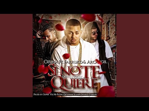 Si No Te Quiere (Remix)