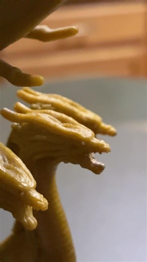 They have never seen their reflection (part 3) #transformers #funny #godzilla ￼