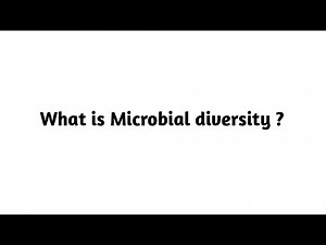 What is Microbial diversity ?