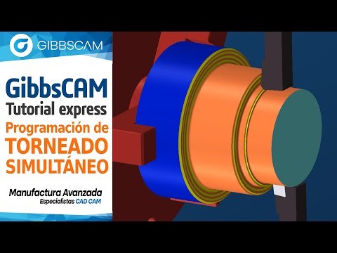 𝗚𝗶𝗯𝗯𝘀𝗖𝗔𝗠 𝘁𝘂𝘁𝗼𝗿𝗶𝗮𝗹 𝗲𝘅𝗽𝗿𝗲𝘀𝘀: 𝗣𝗿𝗼𝗴𝗿𝗮𝗺𝗮𝗰𝗶ó𝗻 𝗱𝗲 𝗧𝗼𝗿𝗻𝗲𝗮𝗱𝗼 𝗦𝗶𝗺𝘂𝗹𝘁á𝗻𝗲𝗼 (𝗽𝗶𝗻𝗰𝗵 𝗧𝘂𝗿𝗻𝗶𝗻𝗴)