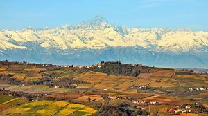 5.7K views · 863 reactions | Think Italian wine is hard to understand? Maybe all you need is a good teacher! Learn Italian wine online in 8-weeks and get your Italian Wine Professional certification. | Napa Valley Wine Academy | Facebook