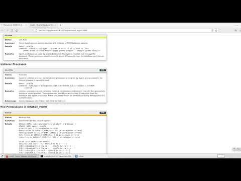 Installation & running Oracle Database Security Assessment Tool (DBSAT)