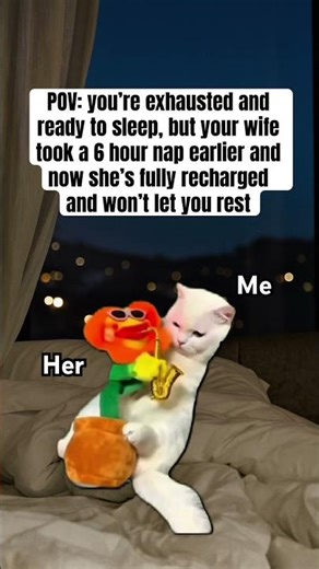 Sleep is officially canceled tonight 😬 #marriage #memes #couple #shorts #funny #love #viral #cat
