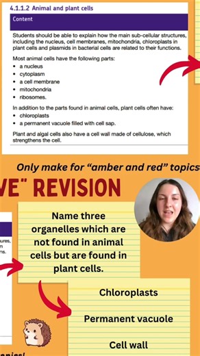 Use the Specification Like THIS to Revise #gcsescience #revisionhelp #freesciencelessons #exams