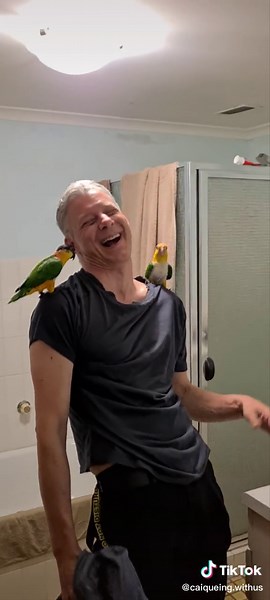 "How to" with a fail ending 😂 #caique #caiques #caiquesoftiktok #caiq...