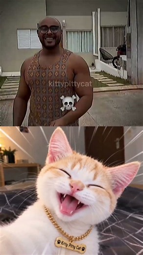 #relatable🤣#jumpstyle#cat