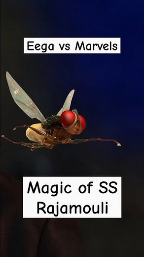 Eega vs Marvel: Jab Ek Makhi Ne Superhero Ko Peeche Chhod Diya 🪰🔥