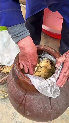 Homemade Salted Vegetable Fermentation – Easy & Authentic Technique