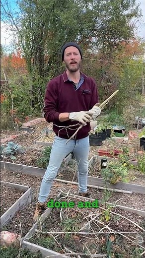 It’s October and it’s time to winter-proof your garden!