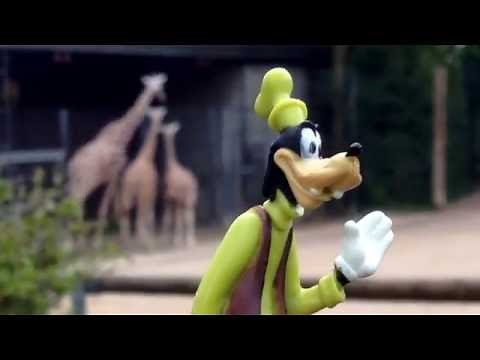 Funny Goofy in the zoo