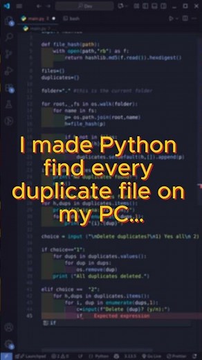 I Made Python Find Every Duplicate File on My PC