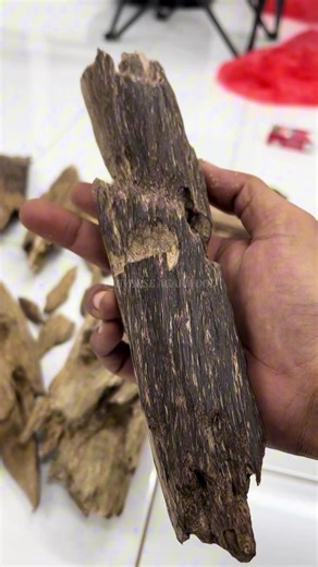Understanding Agarwood: Benefits and Uses
