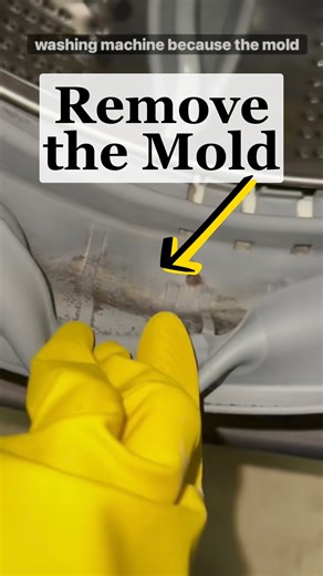 Sarah McGlory | If you have a front-loading washing machine, it is so easy to get mold in the rubber gasket. It’s not your fault- it’s a design flaw! I... | Instagram