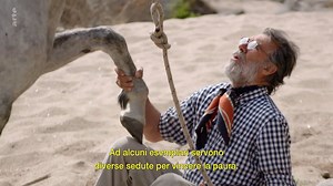 6.1M views · 37K reactions |  In un paese dove i gauchos usano spesso metodi violenti, Oscar danza con i cavalli, sussurra alle loro orecchie, li accarezza, li rassicura e riesce a ristabilire la comunicazione che fino ad allora non riuscivano ad avere con i loro padroni.  GEO Reportage https://so.arte/Oscar | ARTE in italiano | Facebook