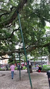 136K views · 9.4K reactions | Praça xv | Florianópolis Praias SC. | Facebook