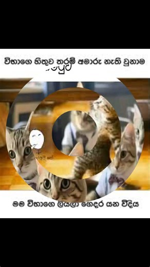 #funny memes fb 😂😂😂😂 fb ආතල්#memeathal #shorts #viral