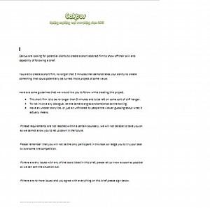 Unit 5: Working to a Brief