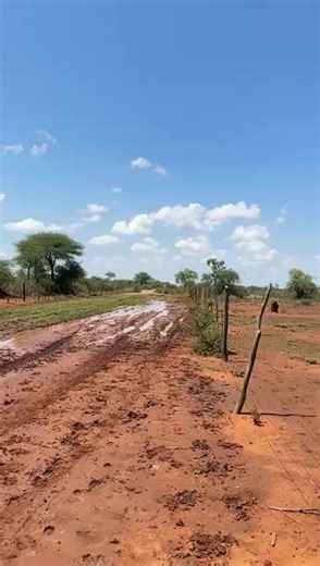 Okeri Stud Farming: A Passion for Cattle Farming