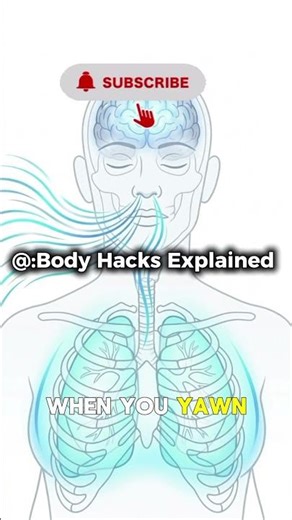 Why You Yawn So Much 😳 | Human Body Facts